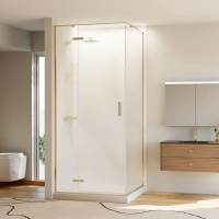 Душевой угол раздвижной прямоугольный RV073RG/L-9080-06-C4 900х800х1950 Цвет профиля Золото брашинг Стекло Дождь Veconi